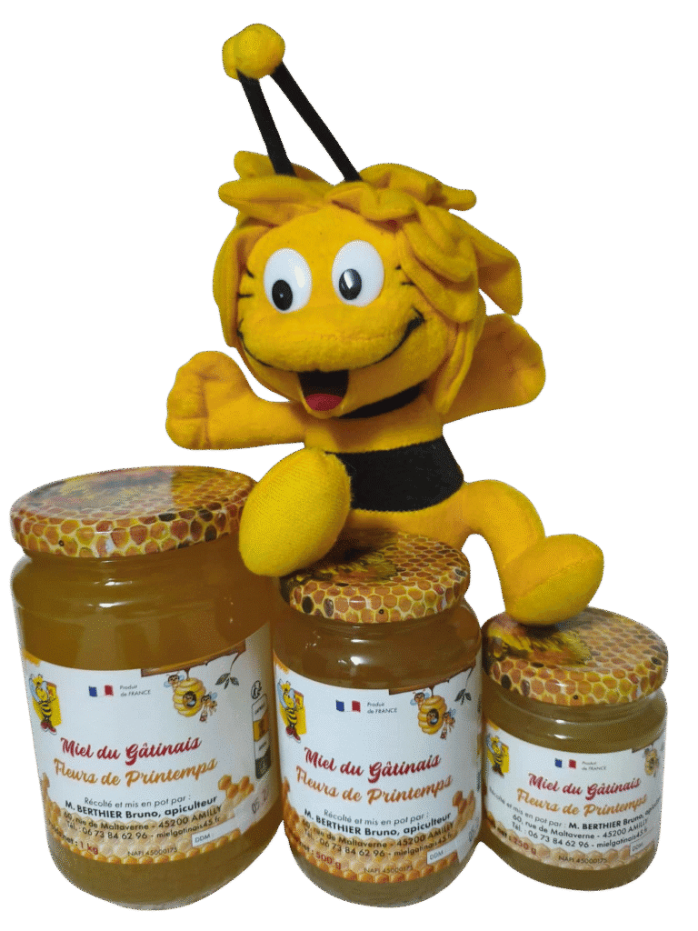 MIEL DU LOIRET